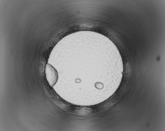 X0000115220463200912091225