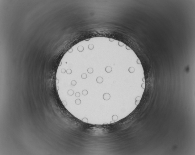 X0000115220464200912091225