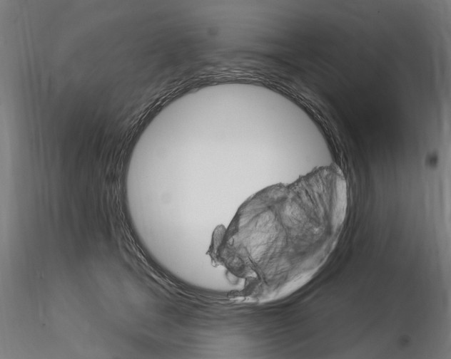 X0000115220465200912091225