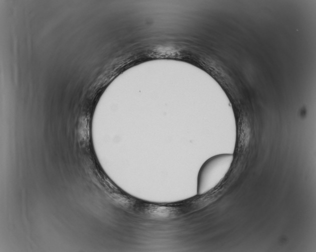 X0000115220467200912091225