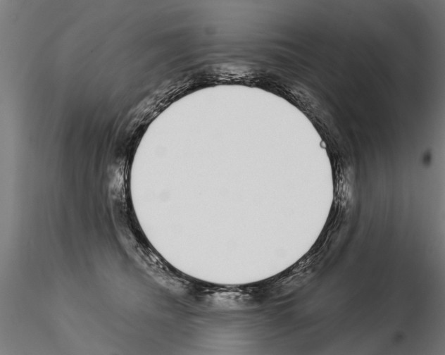 X0000115220468200912091225