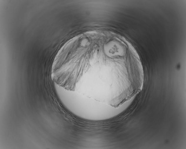 X0000115220469200912091225