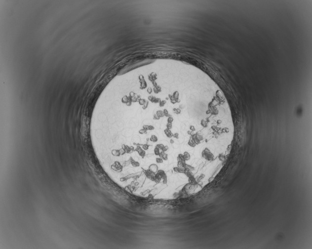 X0000115220470200912091225