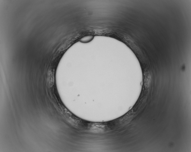 X0000115220471200912091225