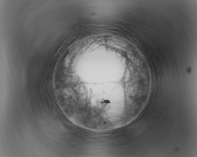 X0000115220473200912091225