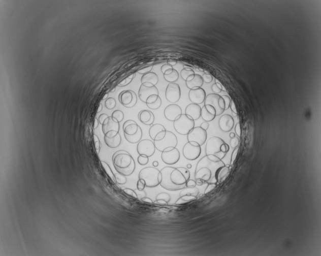 X0000115220474200912091225