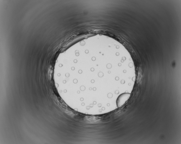 X0000115220476200912091225