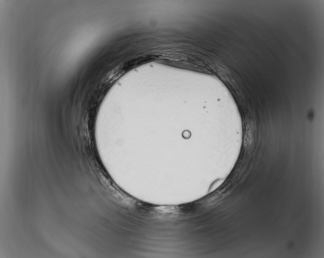 X0000115220477200912091225