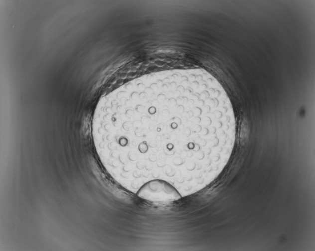 X0000115220478200912091225