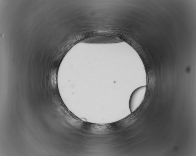 X0000115220479200912091225