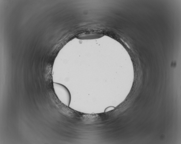 X0000115220480200912091225