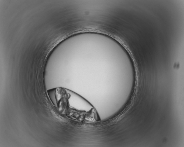 X0000115220481200912091224