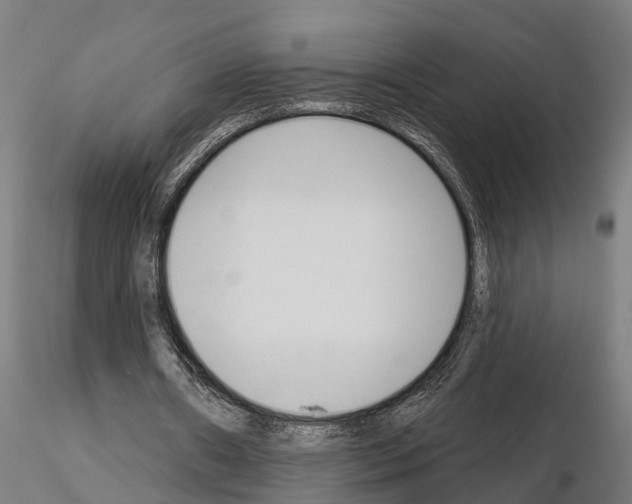 X0000115220482200912091224