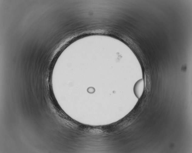 X0000115220483200912091224