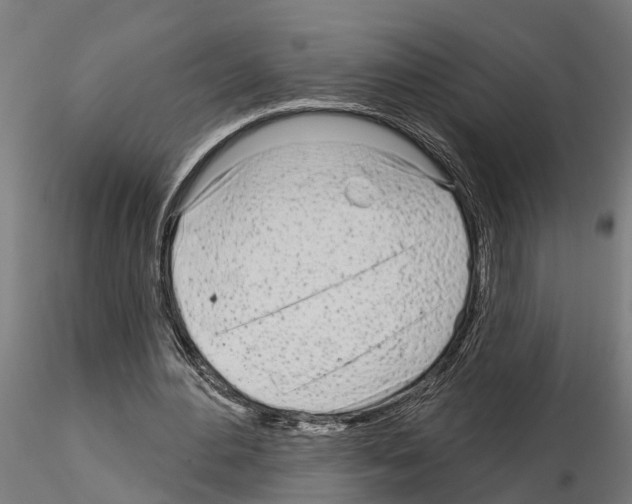 X0000115220484200912091224