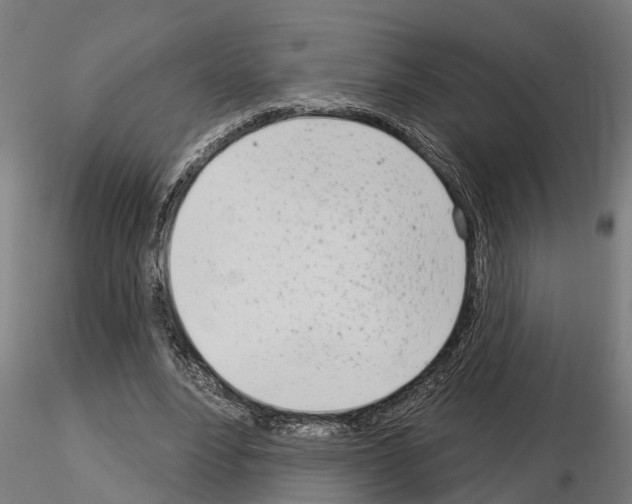 X0000115220488200912091224