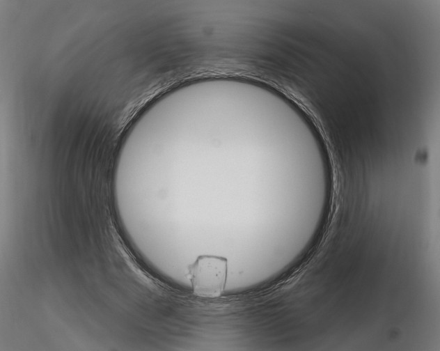 X0000115220489200912091224