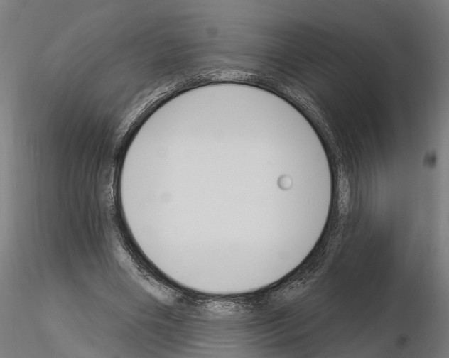 X0000115220490200912091224