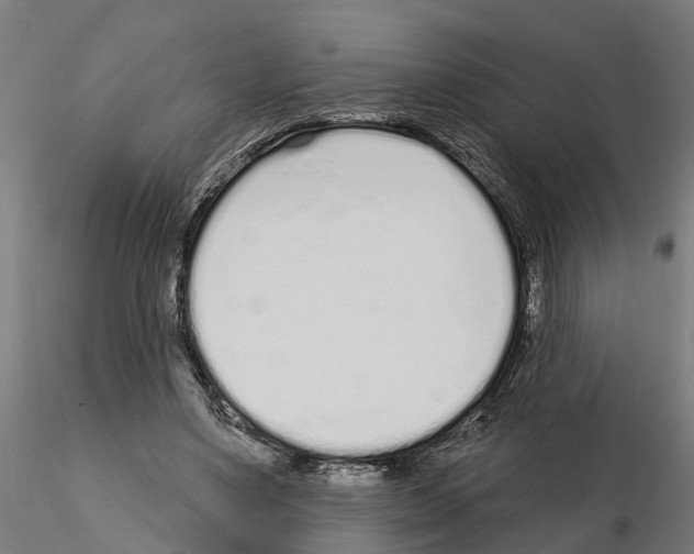 X0000115220491200912091224