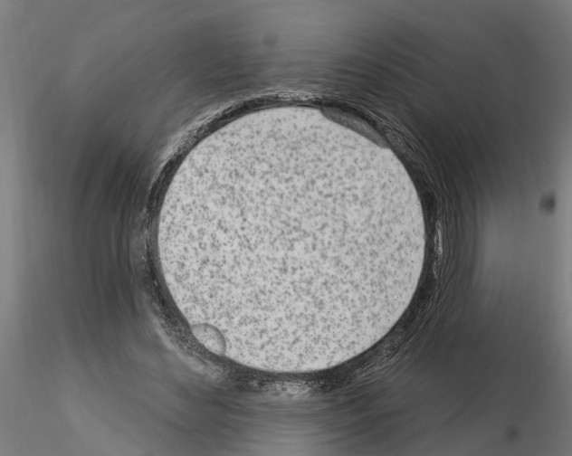 X0000115220492200912091224