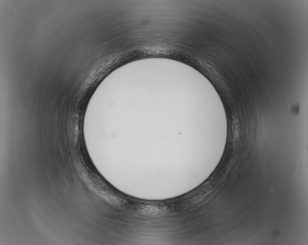 X0000115220494200912091224