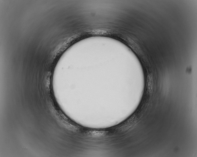 X0000115220495200912091224