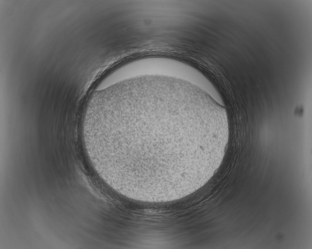 X0000115220496200912091224