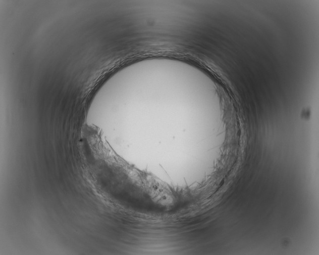 X0000115220497200912091224