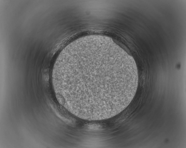 X0000115220500200912091224