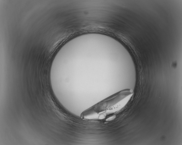 X0000115220501200912091224