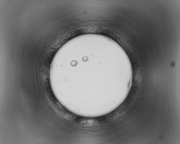 X0000115220503200912091224