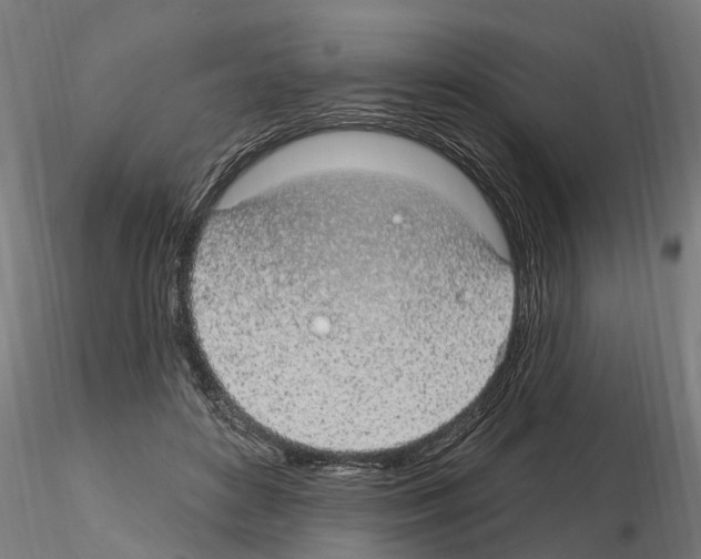 X0000115220504200912091224