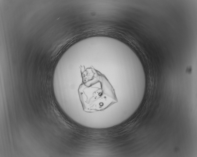 X0000115220505200912091224