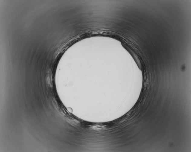 X0000115220508200912091224