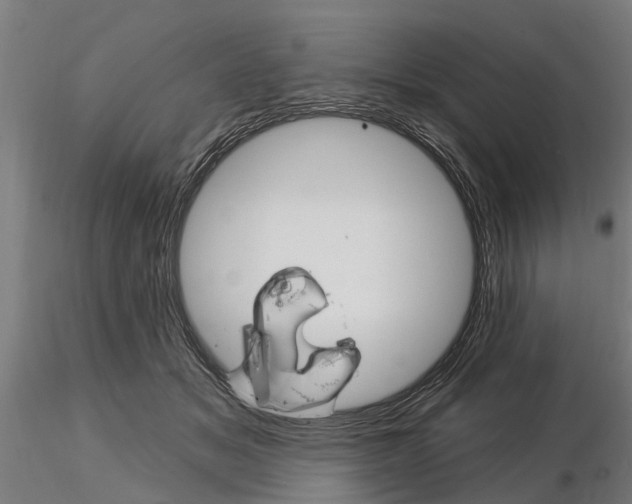 X0000115220509200912091224