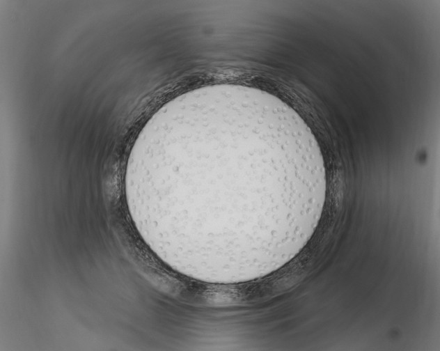 X0000115220510200912091224