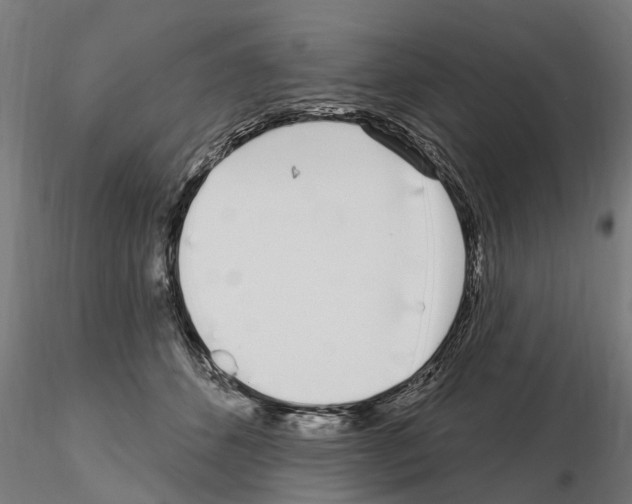 X0000115220512200912091224