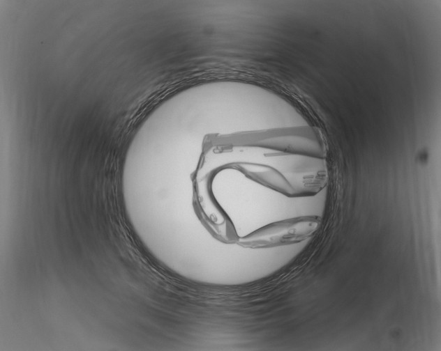 X0000115220513200912091224