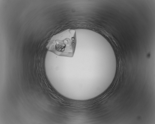 X0000115220517200912091224