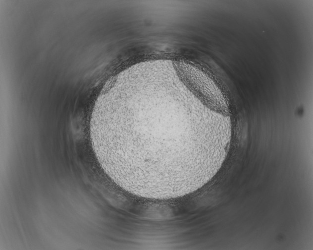 X0000115220520200912091224