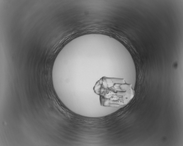 X0000115220521200912091224