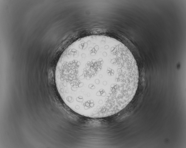 X0000115220523200912091223