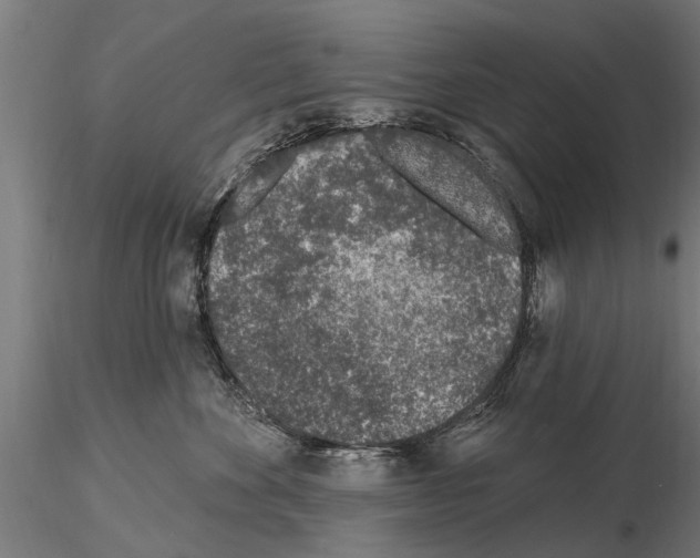 X0000115220524200912091223