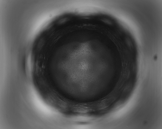 X0000115220526200912091223