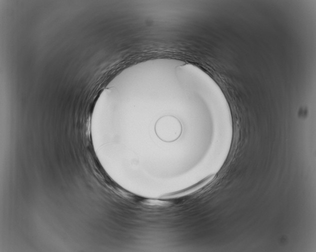 X0000115220528200912091223