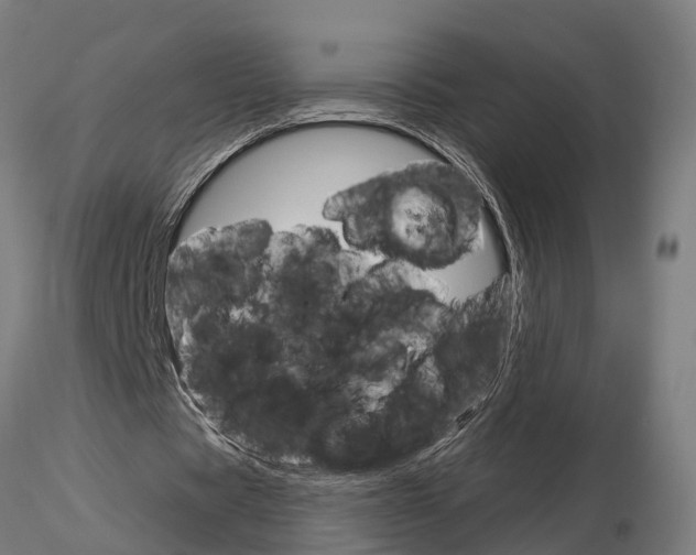 X0000115220529200912091223