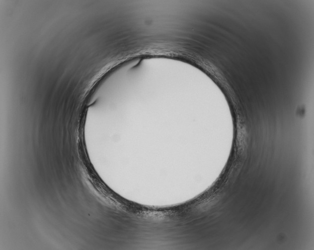 X0000115220530200912091223