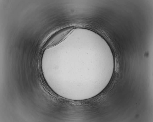 X0000115220531200912091223