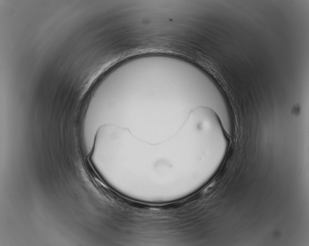 X0000115220534200912091223