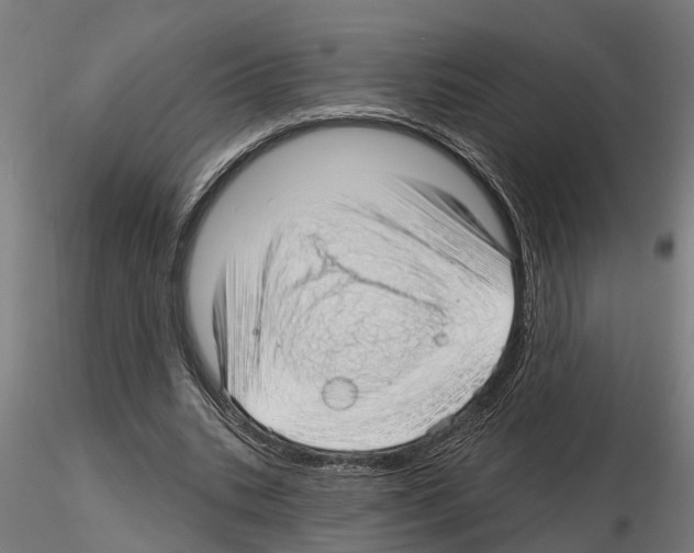 X0000115220535200912091223